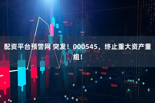 配资平台预警网 突发！000545，终止重大资产重组！